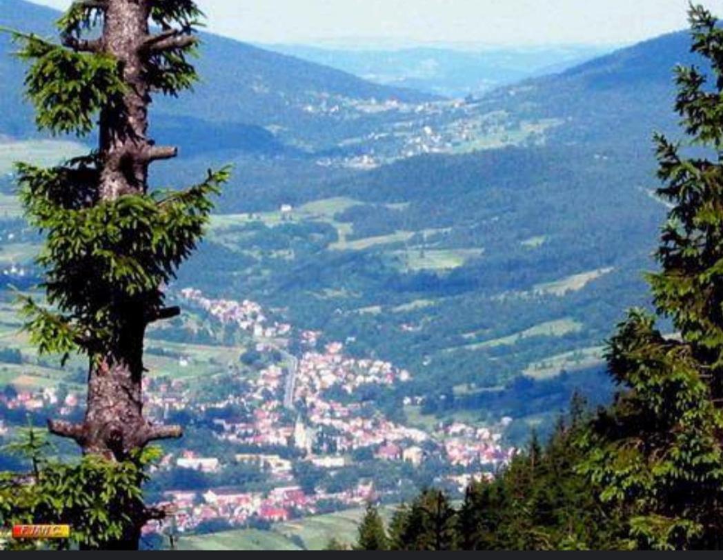Pocieszna Podkowa Rabka-Zdrój